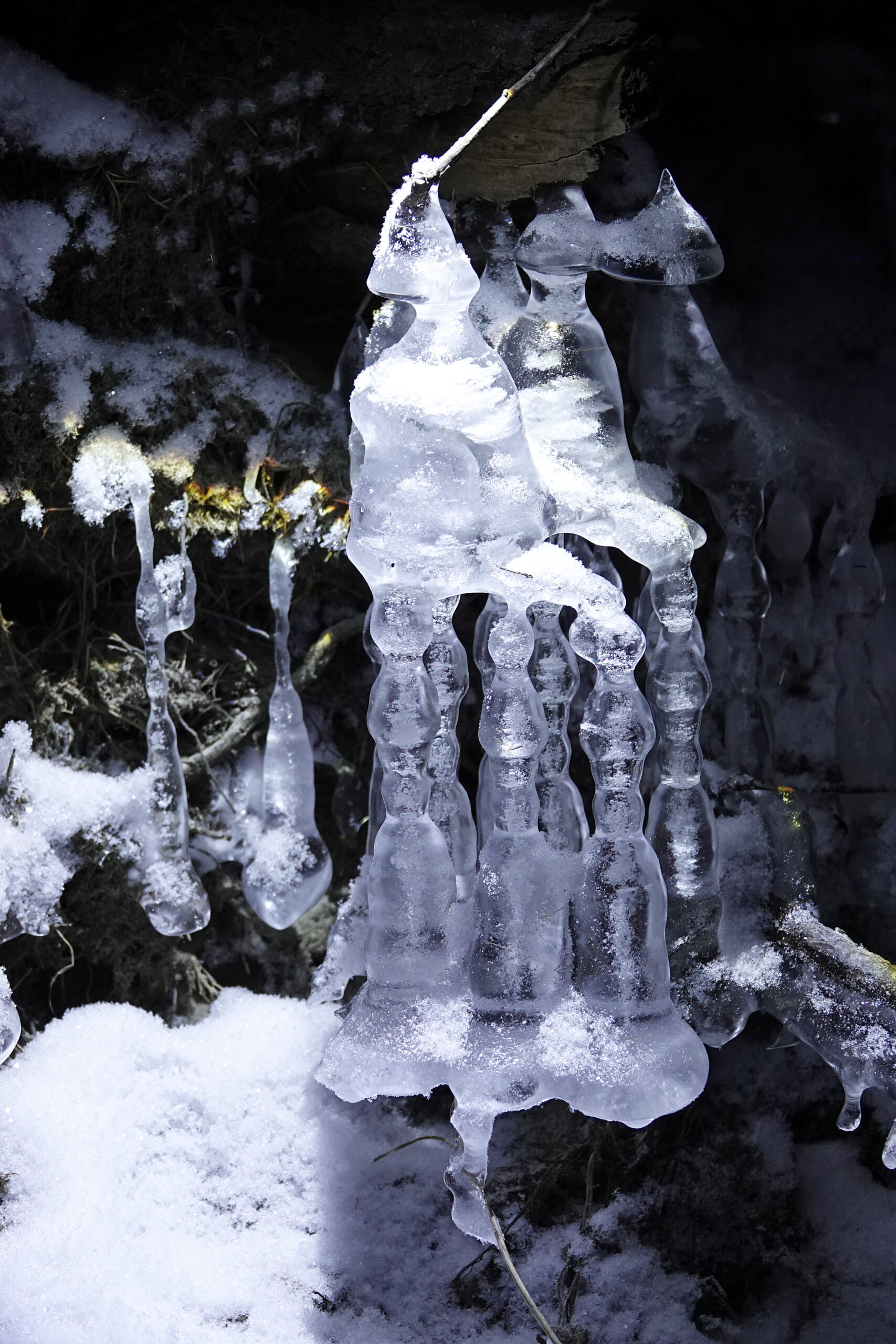 Айыы санаа аргыстаах, эбэтэр Өймөкөөннөр күннэрэ…