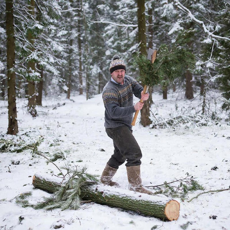 Россиянам разъяснили, чем грозит самовольная вырубка ёлок