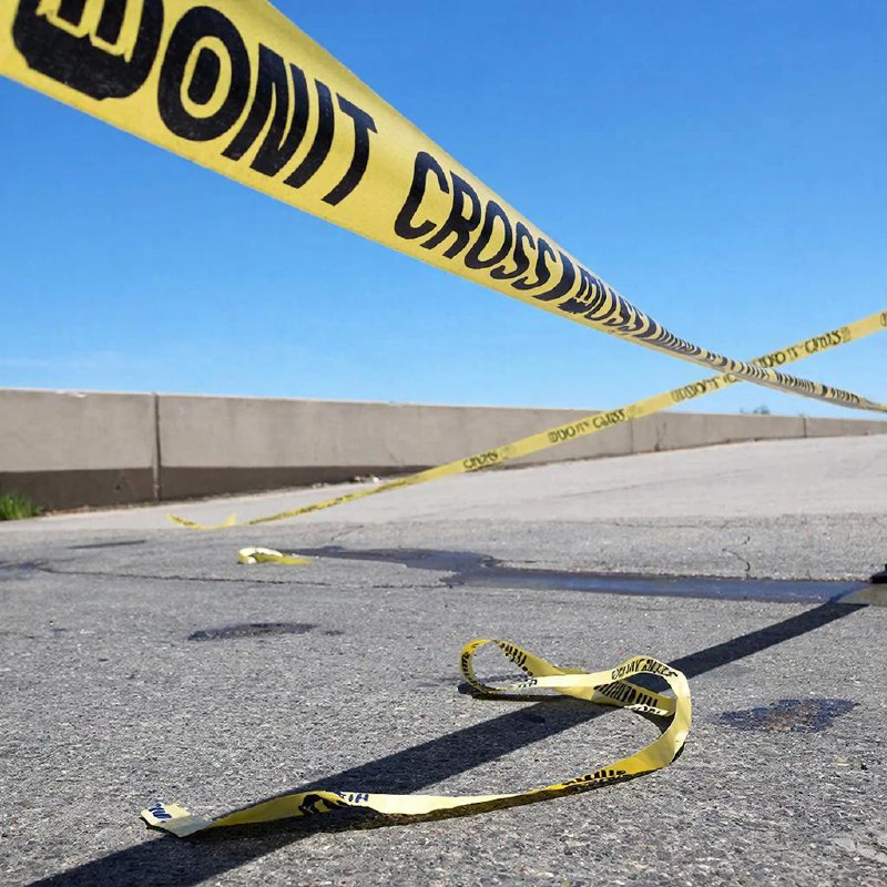 Режиссёр Роб Райнер и его жена обнаружены мёртвыми