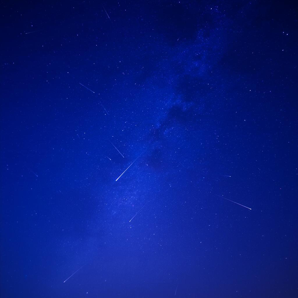 Завершающий звездопад года оживит декабрьские ночи