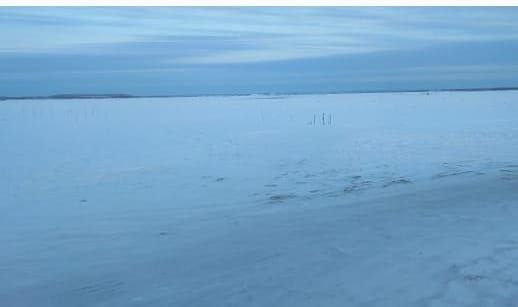 Пропали в тундре: нашли на девятый день…