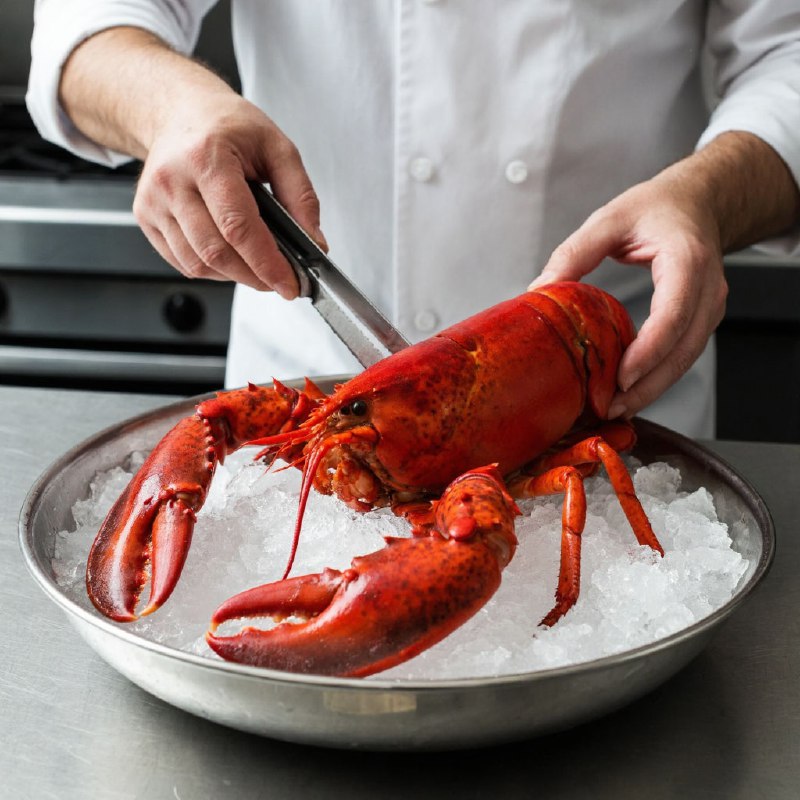 Великобритания запретит варку крабов и лобстеров