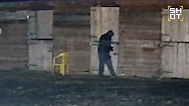 Живодёр, убивший двух лошадей, вернулся с кислотой