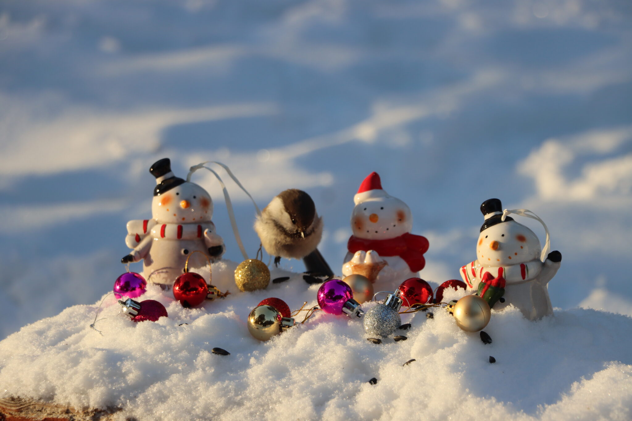 Якутская зима ликует: Морозы приблизились к 60-градусной отметке