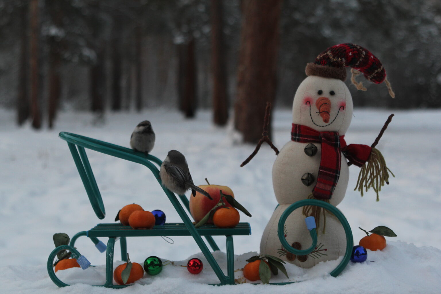 SakhaLife поздравляет с Новым годом!