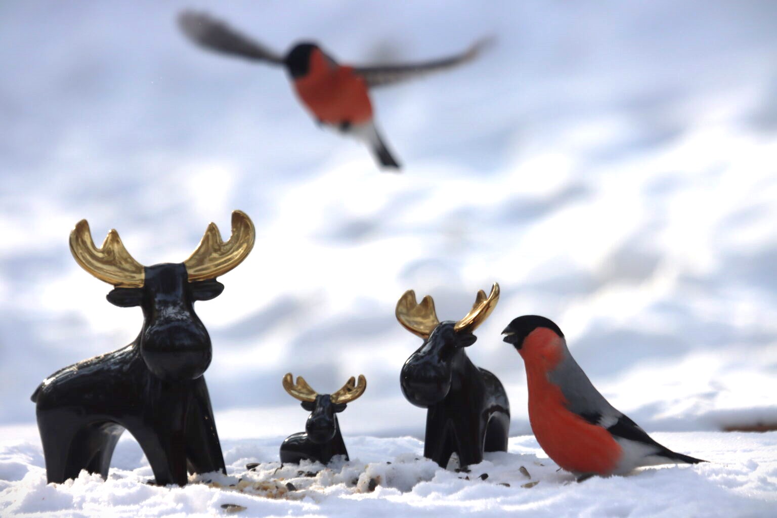 Прекрасной новогодней погоды не ждите