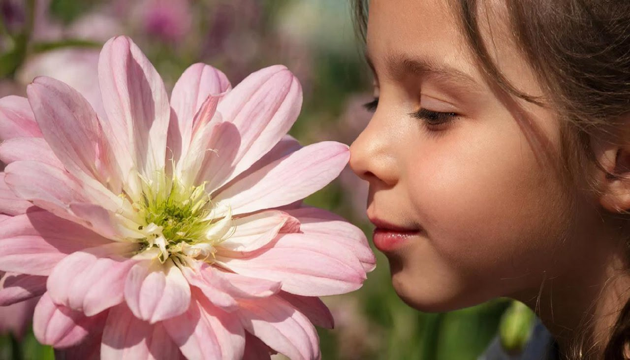 Обоняние как суперкомпьютер: как запахи управляют телом