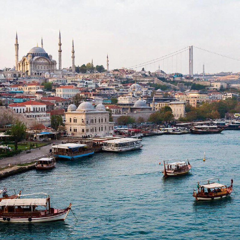 Пловца Свечникова опознали по ДНК