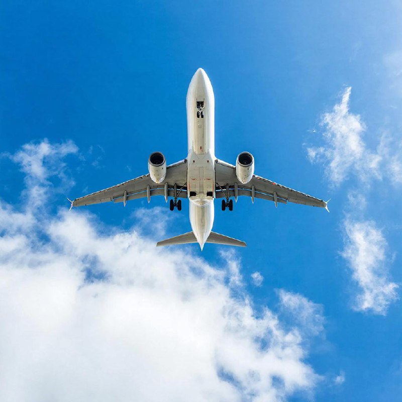 Иск на 119 млн рублей предъявлен пилоту за посадку самолёта