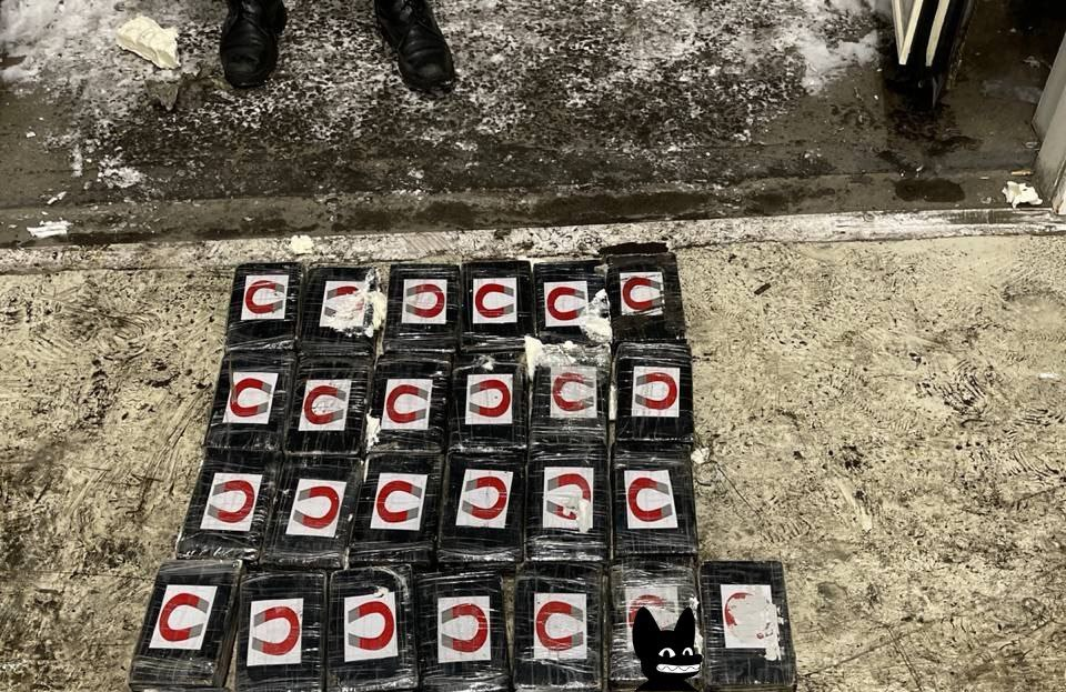 Уголовное дело по контрабанде: 40 кг кокаина в руках таможенников