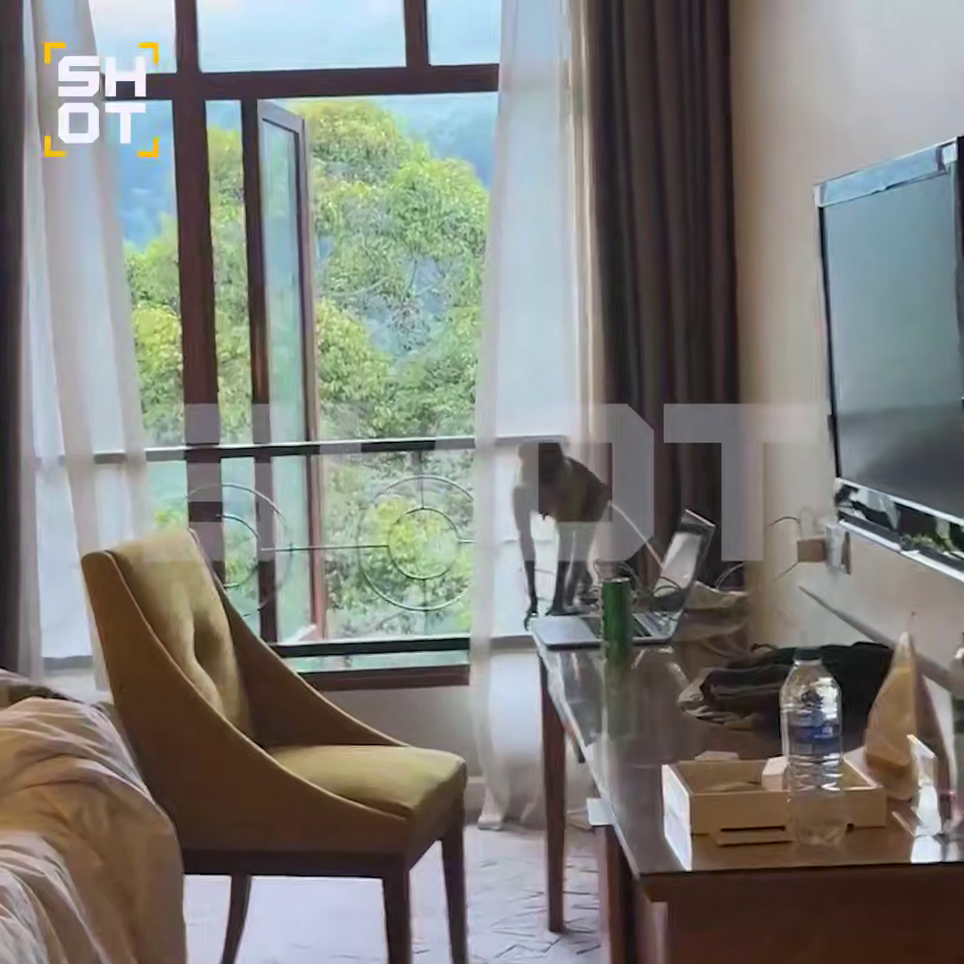 Макака, отдых и ограбление: шокирующая история россиян