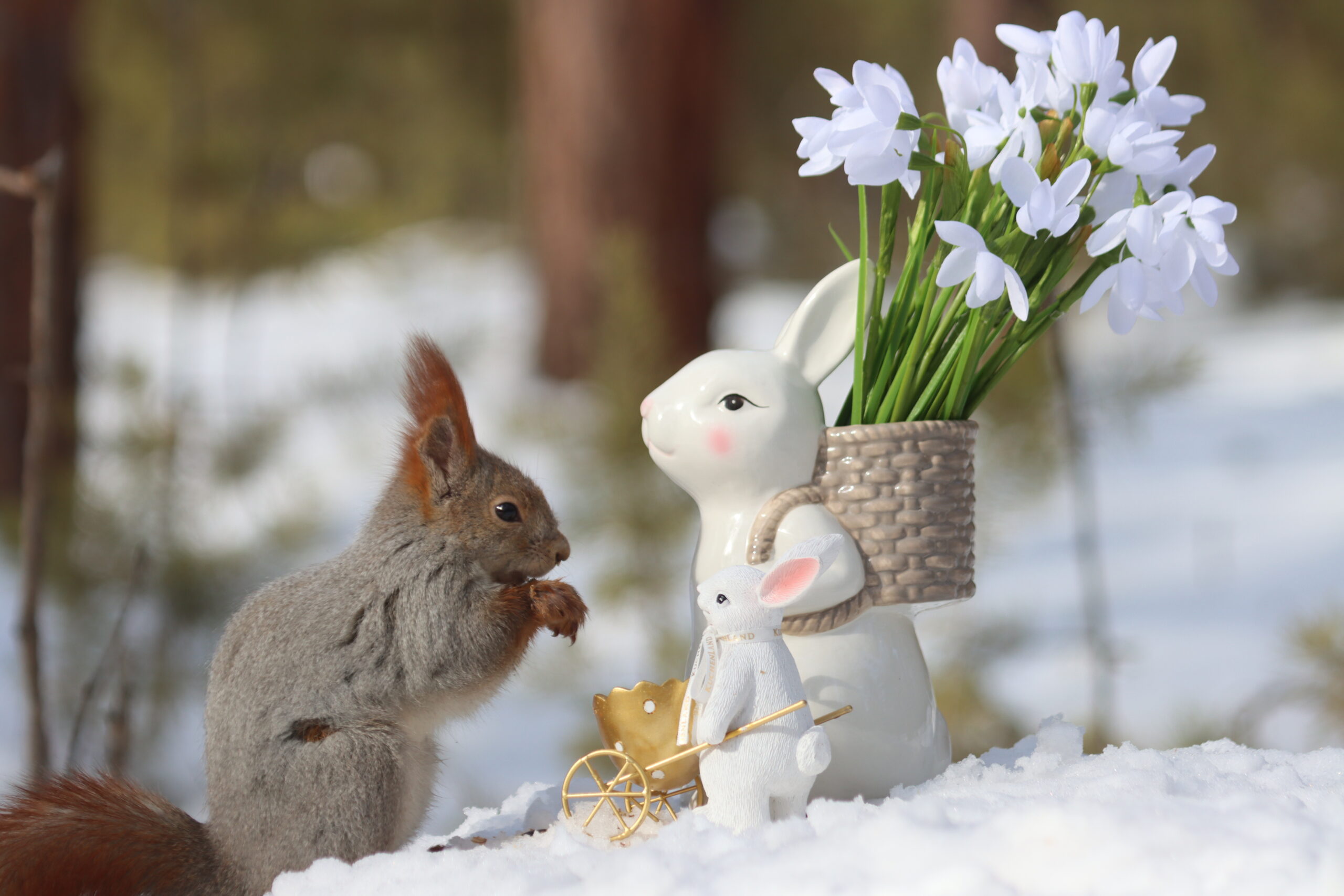 Погода почти весенняя: Местами -17°