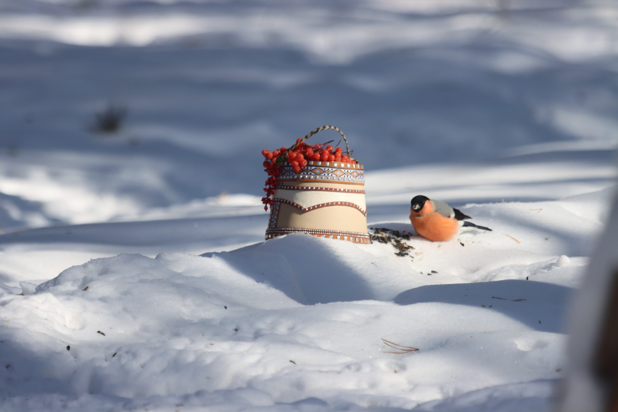 У природы нет плохой погоды! Каждая погода — благодать