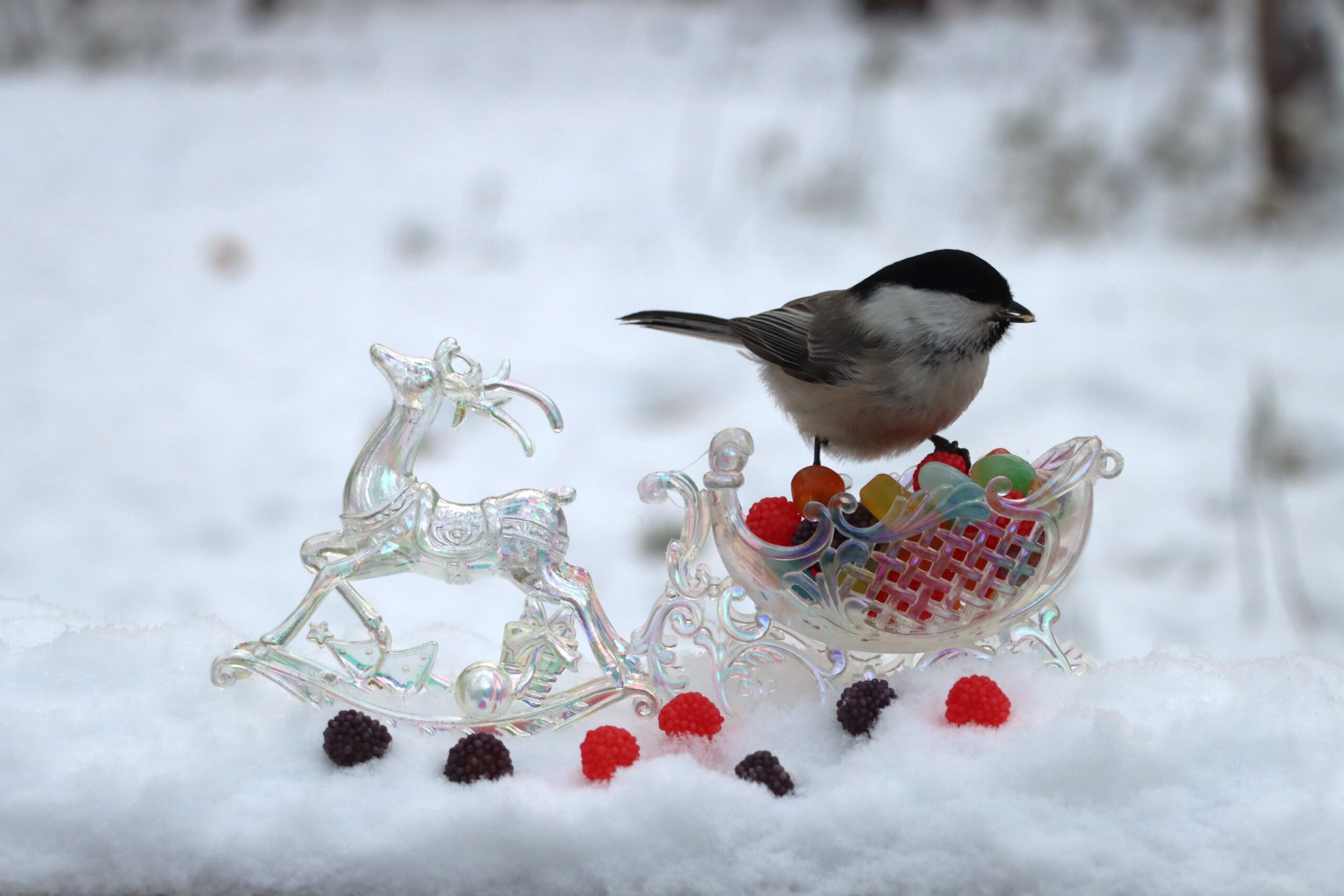 Дофаминовая яма: Апатия после новогодних праздников
