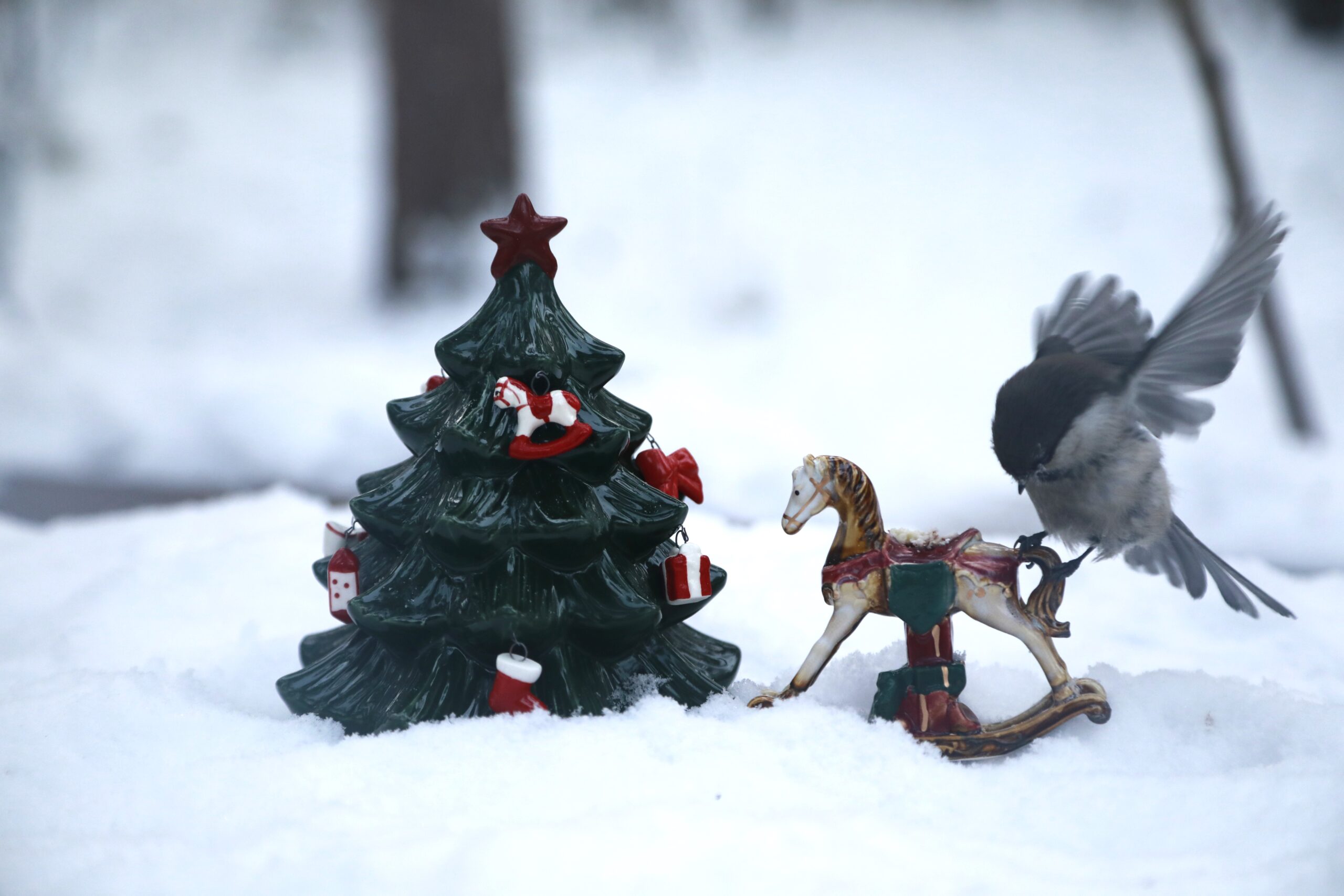 Наступили самые сильные крещенские холода: Будет -55°