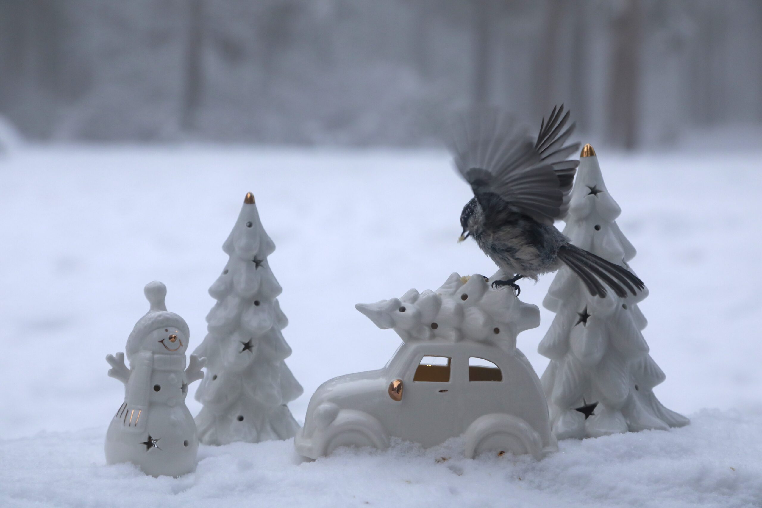 Синоптики не спешат радовать: Морозы продолжаются