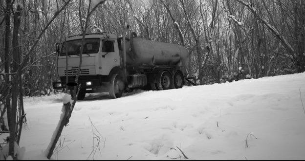 Фотоловушка поймала его там, где он не ждал