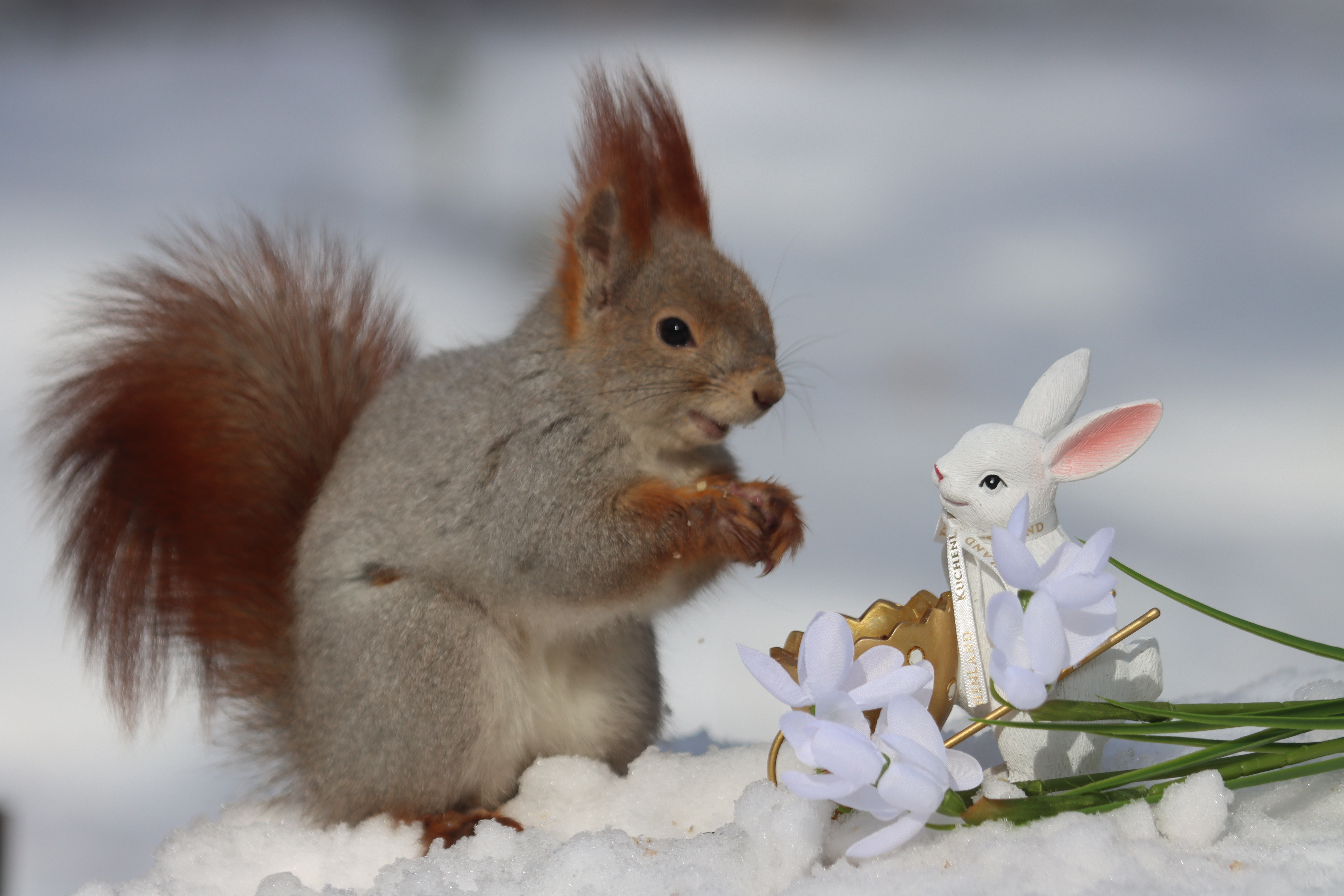 Климатический коллапс: Побит 28-летний рекорд
