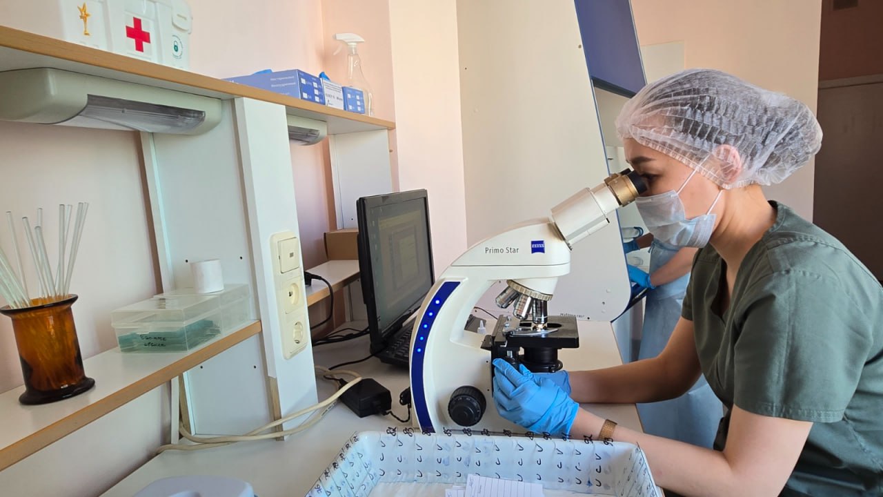 Детский диабет: Комфортные сенсоры вместо болезненных уколов