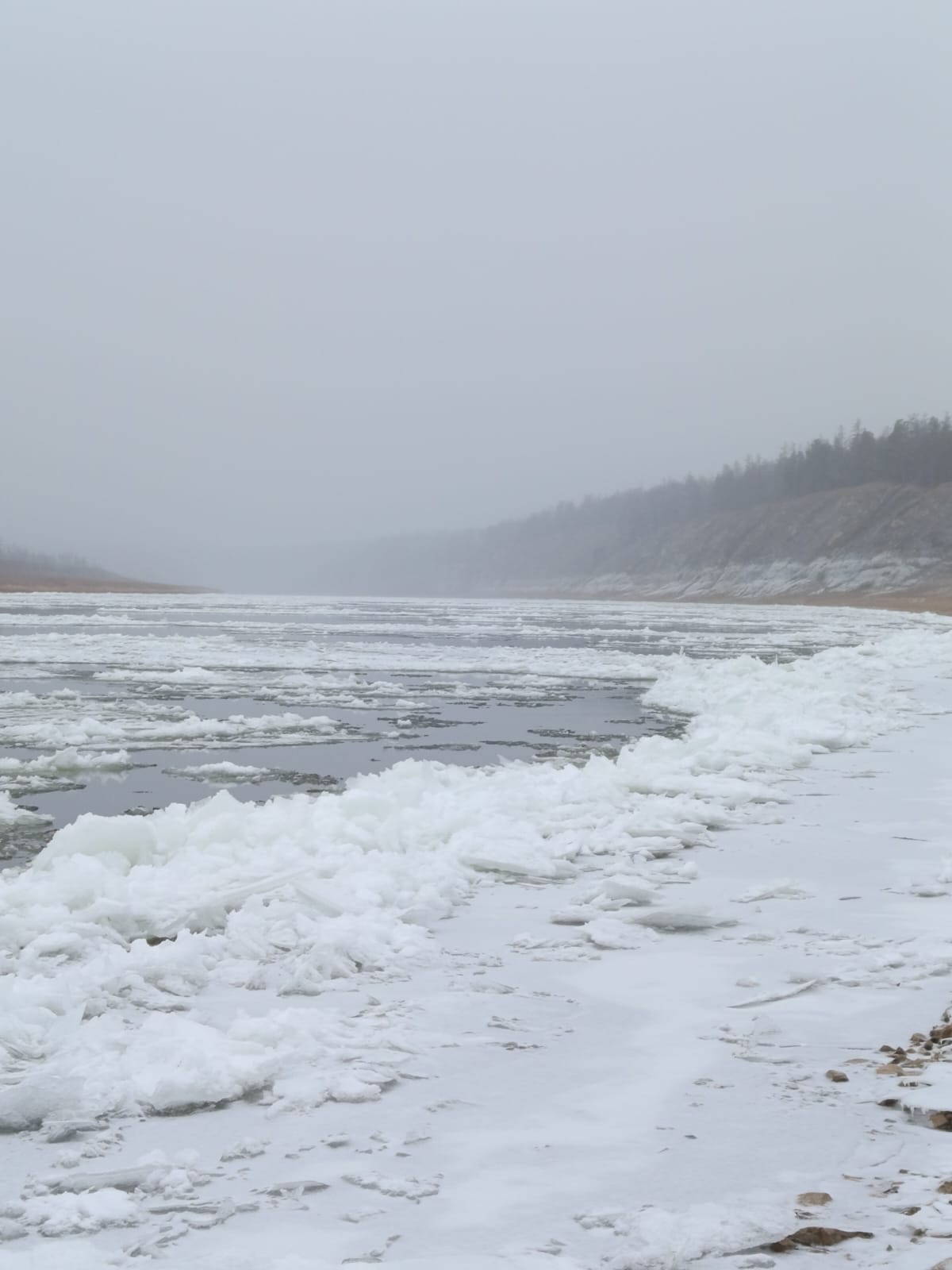 Урожайное лето или катастрофа? Эксклюзивный прогноз от Тускула