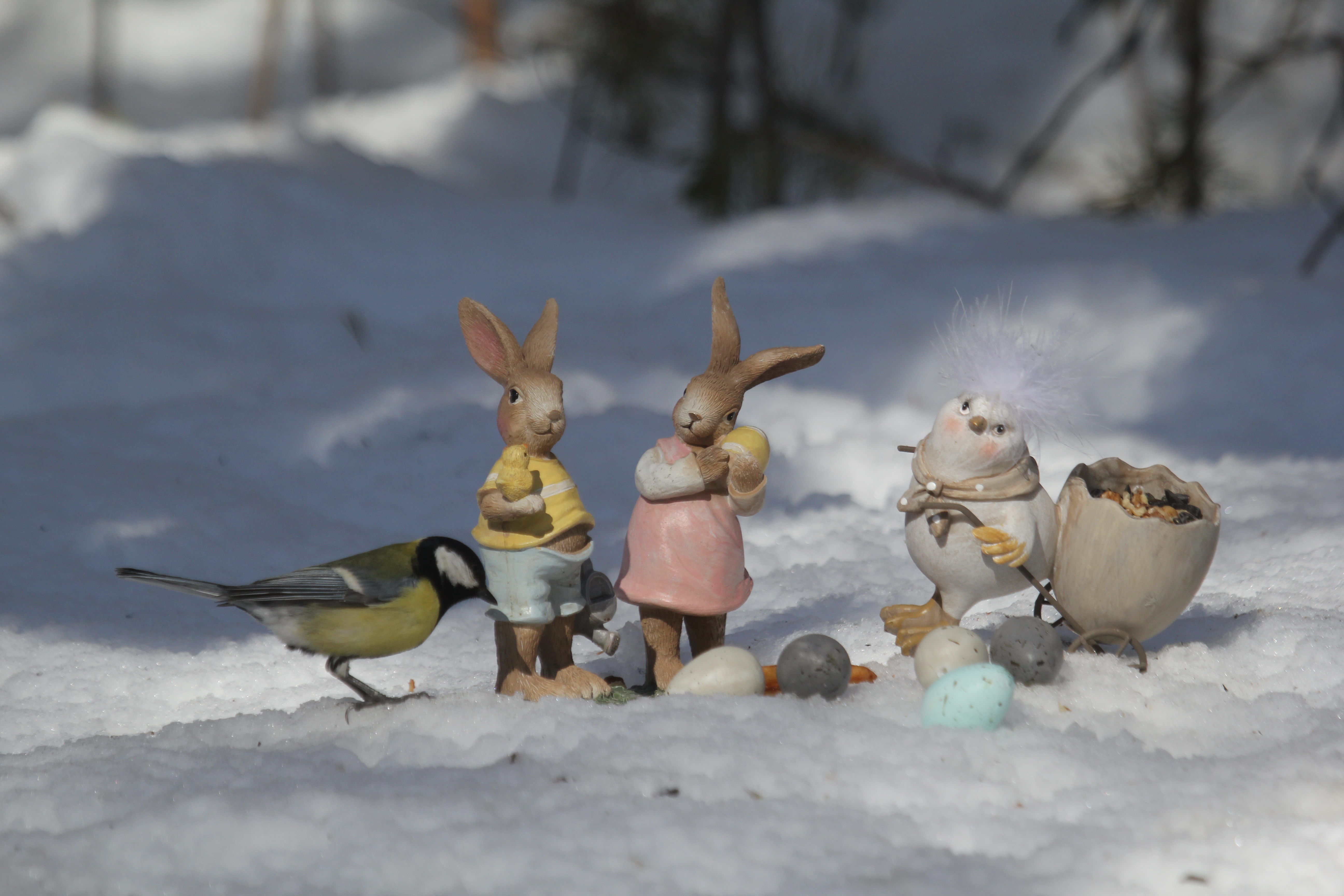 Весна решила взять небольшую паузу: За окном -45°