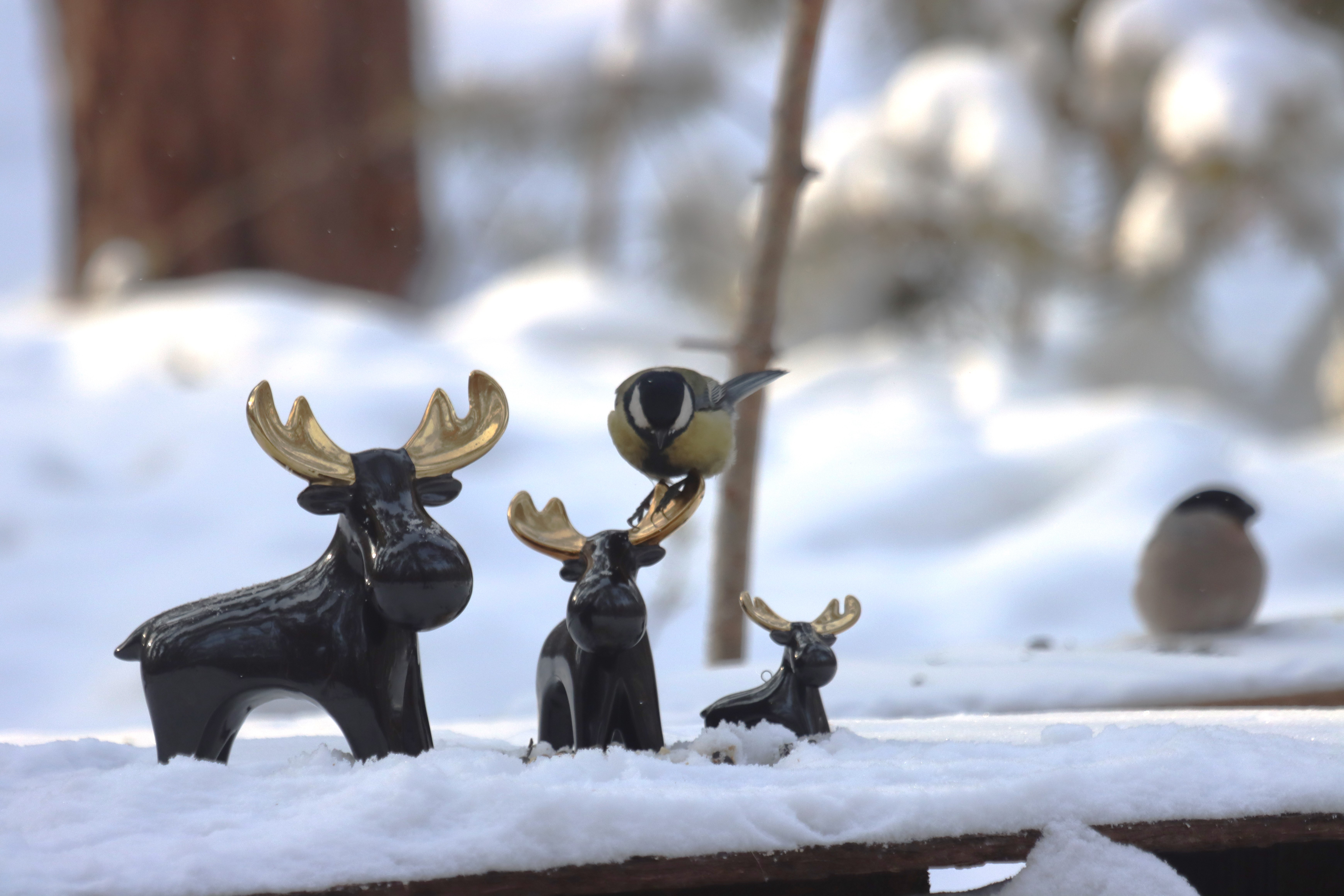 Зима не спешит уходить: Местами почти -50°